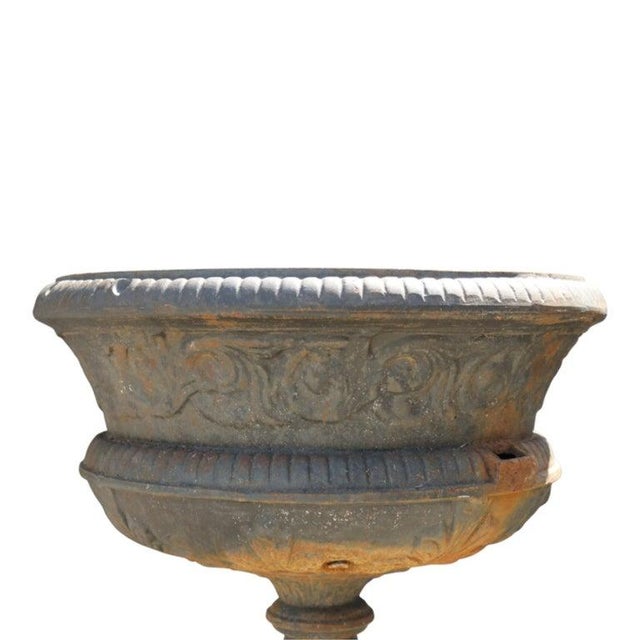 This oversized antique classical garden urn is crafted from cast iron, dating to approximately 1900. The urn features a...
