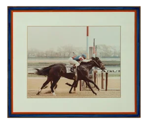 Aqueduct Park Finish Line Color Photo in Custom Racing Stripe Frame
