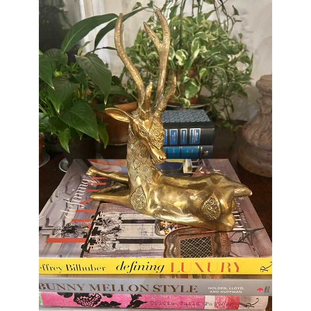There is something so majestic about a stag. Throughout history, they have symbolized strength and protection. What...