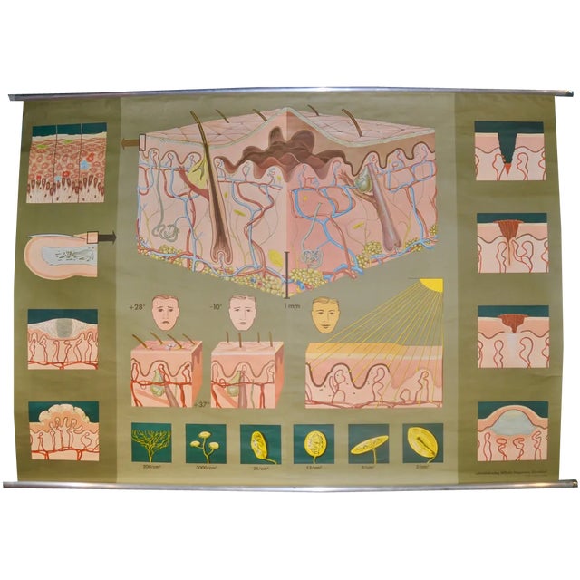 German School Print in Leather Edition, 1981 For Sale