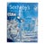 Sotheby's Auction Catalog Impressionist & Modern Art Part Two May 2001 For Sale