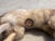 Antique toy figurine Made by Original Fur Toys