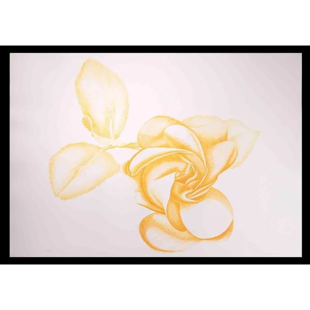 Yellow Rose is an original modern artowork realized by the Italian artist Giacomo Porzano (1925-2006) in 1972 Mixed...