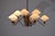 10-Light Chandelier from Lumen, 1950 For Sale - Image 12 of 12