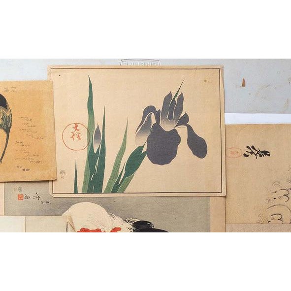 18th Century Antique Japanese Sakai Hoitsu “Iris” Woodblock Print For Sale - Image 12 of 12