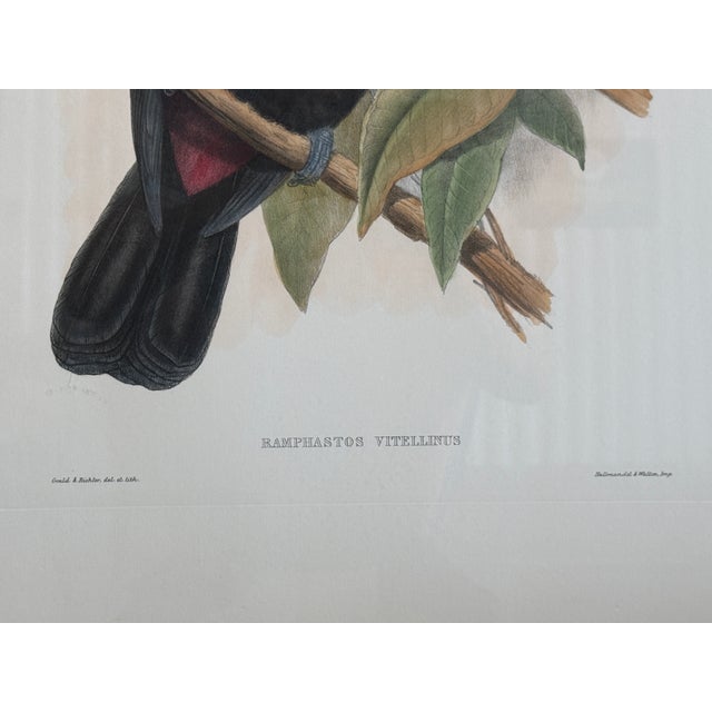 Late 20th Century 1960s Tucan Botanical Prints - A Pair For Sale - Image 5 of 5