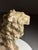 Armand Fagotto, Lion, Terracotta For Sale - Image 17 of 18