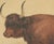 Olivier De Penne, West Highland Ox, Scottish Cattle, 1863, Chromolithograph For Sale - Image 4 of 9