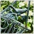 Add a touch of whimsical, old-world elegance to your home or patio layout with this vintage-style wire gathering basket...