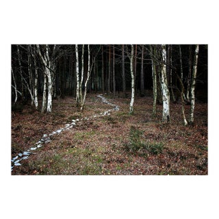 Ellie Davies, Knit One, Pearl One 6, 2011, Photograph For Sale