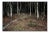 Ellie Davies, Knit One, Pearl One 6, 2011, Photograph For Sale