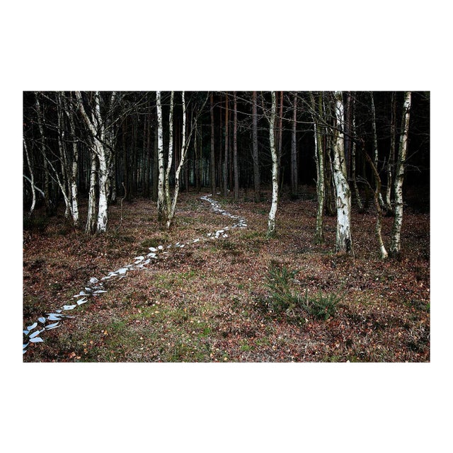 Knit One, Pearl One 6, British Photograph, 2011 For Sale