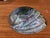 Large Vintage Natural Abalone Shell – Iridescent Mother-of-Pearl – 1980s For Sale - Image 4 of 5