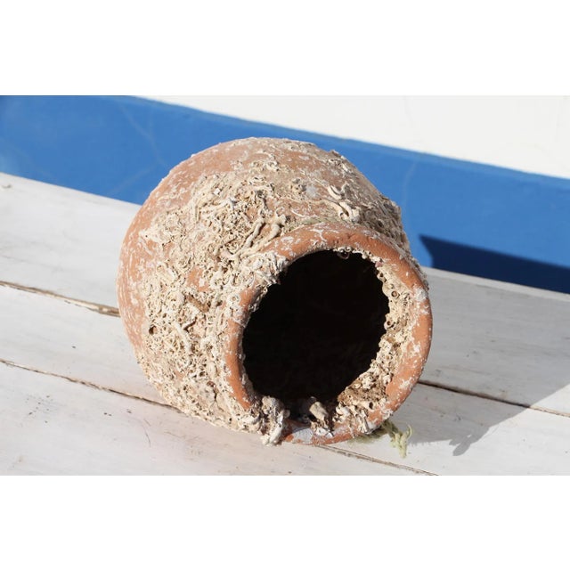 Brown 19th Century Antique Terracotta Octopus Trap Undersea Pot For Sale - Image 8 of 13