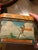 1930s Loose-Wiles Hiawatha’s Wedding Journey Lithographed Biscuit Tin For Sale In New York - Image 6 of 10