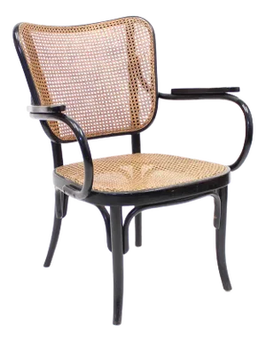 Model A 821 F Armchair by Eberhard Krauss for Thonet, 1930s