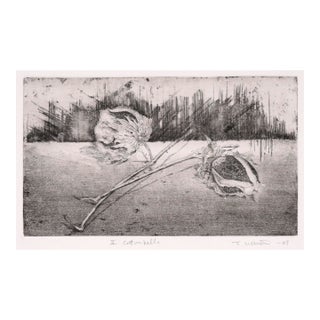 "Ii Cottonballs" - Intaglio Print by Tomoya Uchida For Sale