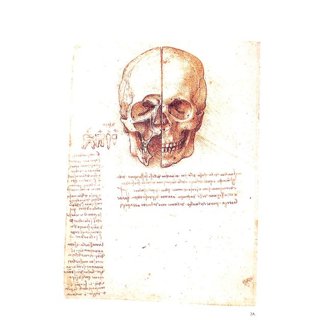 Drawings Form The Collection Of Her Majesty Queen Elizabeth II CLAYTON, Martin [141] pp. Bulfinch Press 1992 12 1/4" x 9...