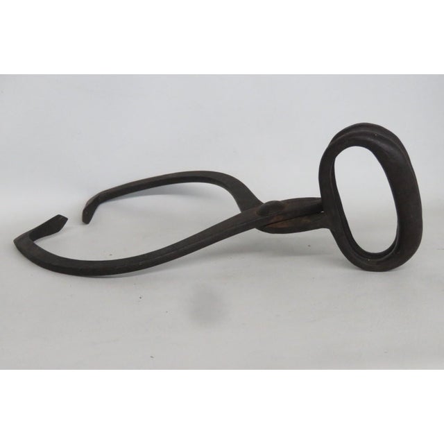 Early 1900s Cast Iron Ice Tongs Extra Large Rustic Handheld Icebox Tool 5125b For Sale - Image 9 of 9