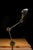 Industrial articulating task lamp featuring a heavy cast iron clamp base, dual articulating steel arms, and a spun...