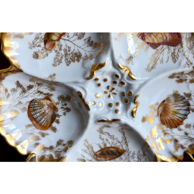 Gold Antique Limoges T v Oyster Plate, Jones McDuffee & Stratton, Hand-Painted Shells, C. 1892-1907 For Sale - Image 8 of 10