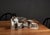 Tea Set with Wooden Tray by Rosenthal & Alessi, 1990, Set of 11 For Sale - Image 16 of 18