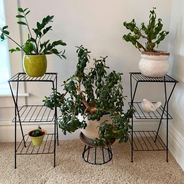 Two timeless mid-century black metal plant stands, ready to display your favorite potted plants. Each metal stand offers...