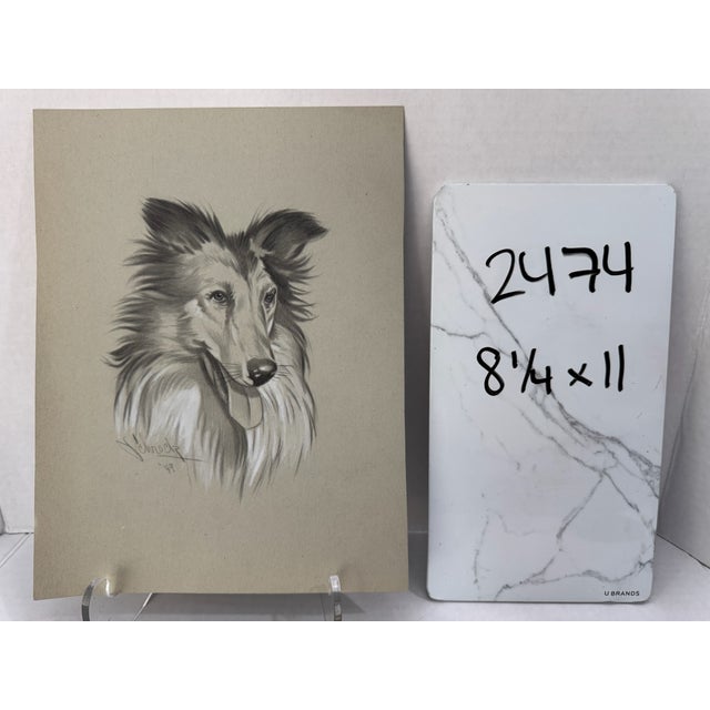Original Signed Graphite Portrait of Collie Dog, 1949, 11 × 8.25 In. For Sale In Atlanta - Image 6 of 6