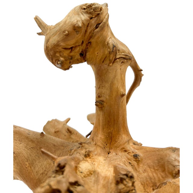 Natural Driftwood Dragon Head Sculpture on Black Base For Sale - Image 4 of 11