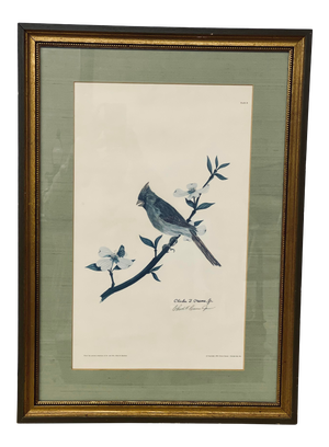 1970s Bird Print After Chuck Crume, Framed