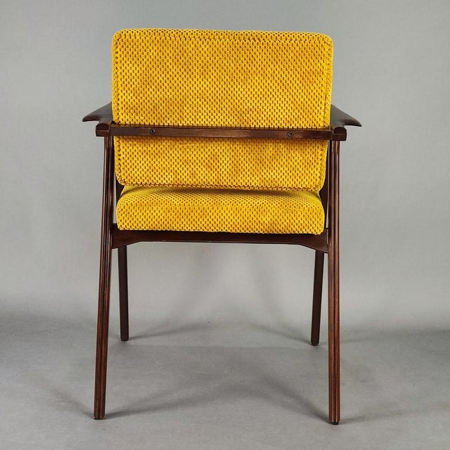 Armchairs in Rosewood and Yellow Velvet by Franco Albini for Poggi, Set of 2 For Sale - Image 9 of 14