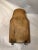 Antique Electric Doorbell or Railway/Butler Bell For Sale - Image 4 of 7