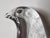 Glass Glass Art Suncatcher in the shape of a Dove by Bertil Vallien for Boda, Sweden, 1970s For Sale - Image 7 of 12