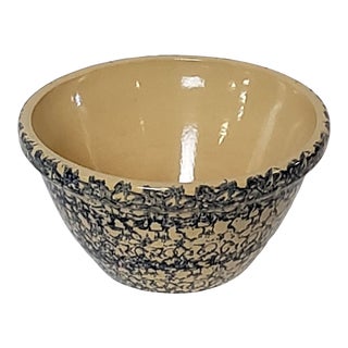 Early 20th Century Robinson Ransbottom Sponge Ware Mixing Bowl For Sale