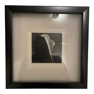 Vintage Framed, Matted and Signed Black and White Photo of a Calla Lily For Sale