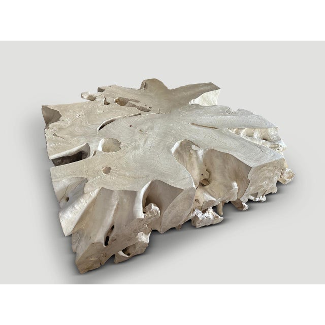 Andrianna Shamaris Monumental Bleached Teak Wood Organic Root Coffee Table For Sale - Image 9 of 18