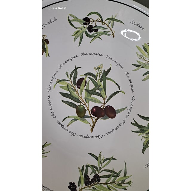 Mediterranean Williams Sonoma Olea Europaea Botanical Olive Serving Bowl Set - 5 Pieces For Sale - Image 11 of 14