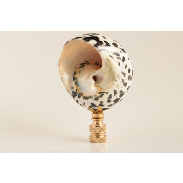 Hollywood Regency Mother of Pearl Zebra Shell Lamp Finial For Sale - Image 3 of 6