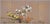 Japanese 1950s Japanese Byobu "3 Colorful Chrysanthemums" Orange, White & Yellow Flowers Hand Painted 4-Panel Screen Excellent Front Good+ Back For Sale - Image 3 of 10