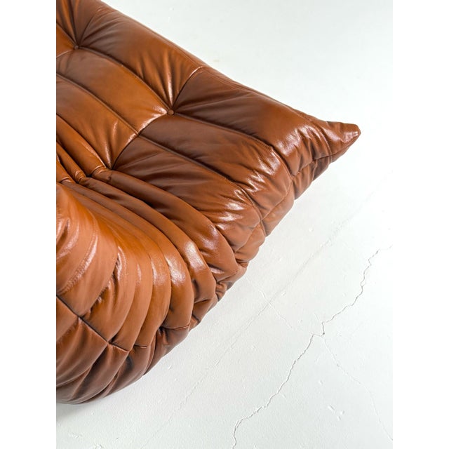 1970s Togo Sofa by Michel Ducaroy for Ligne Roset, 1970s For Sale - Image 5 of 8