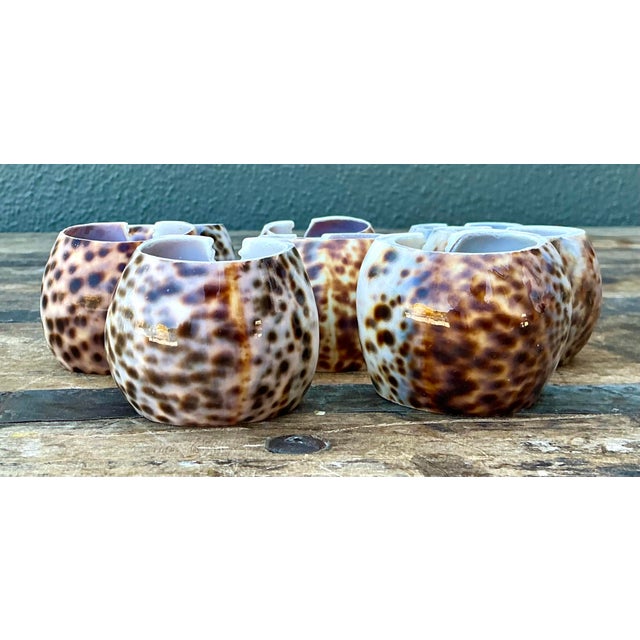 Shell Vintage Sliced Shell Napkin Holders - Set of 8 For Sale - Image 7 of 12