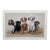 1980s Jim Killen Sporting Dog Art Great Retrievers Labs (29.5"x20") "Class Reunion" Open Edition For Sale