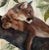 Original Artist Winner Oil Painting For Sale - Image 4 of 5