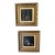 1970s Mexican Tenebrist Still Life Oil Paintings, Taller La Costa - A Pair Signed For Sale