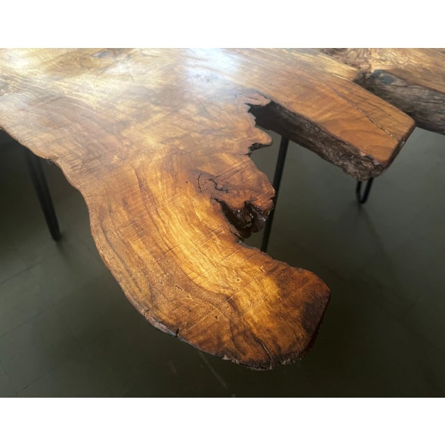 Maple burl coffee outlet table