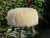 Contemporary Round Stool / Ottoman With Hand Carved and Patinated / Gilt “Sheep” Legs & Faux “Lambswool” Lush Washable Upholstery/ Everage Design Workshop For Sale - Image 3 of 8