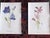 Antique 19th Century Edward Hulme Botanical "Garden Flowers" Lithographs - Set of 12 - Super Price! For Sale In Cincinnati - Image 6 of 9