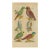 Antique Natural History Hand-Colored Engraving – Parrots, Tab. XXIII-1750's For Sale
