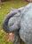 Huge 90” Highly Detailed Vintage Life Size Verdigris Bronze Rhinoceros Sculpture Statue Indoor Outdoor For Sale - Image 11 of 12