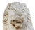 Mid 20th Century Carved Wood Lion Statues, 1950, Set of 2 For Sale - Image 10 of 13